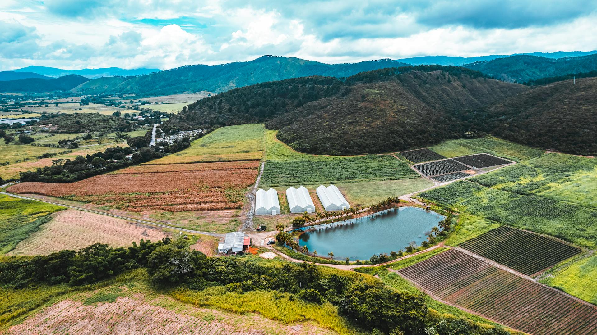 Campo Venezolano